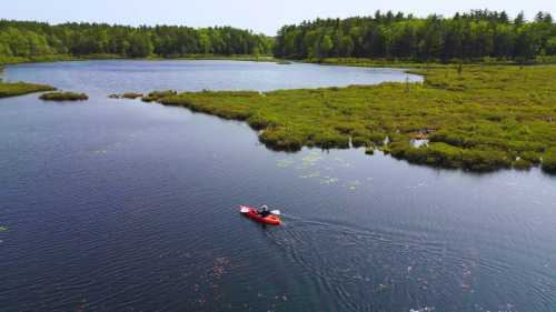 A person kayaking on a calm lake surrounded by lush greenery and trees under a clear blue sky.