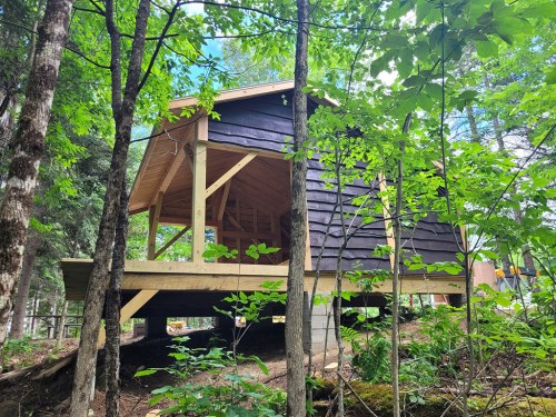 A wooden cabin on stilts surrounded by lush green trees and foliage in a forested area.