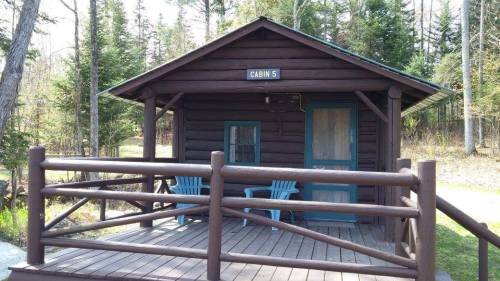 A rustic wooden cabin with a porch, surrounded by trees and greenery, labeled "CABIN 5."