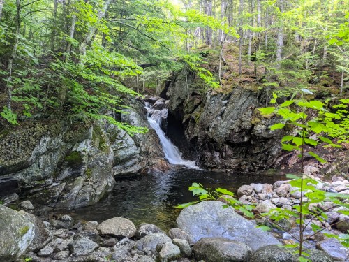 A serene waterfall cascades into a rocky pool, surrounded by lush green trees and moss-covered rocks.