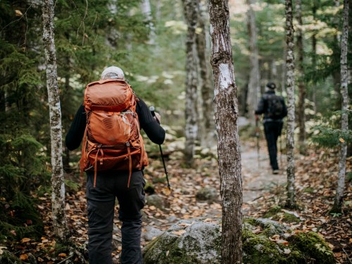 Two hikers with backpacks walking along a forest trail surrounded by trees and fallen leaves.