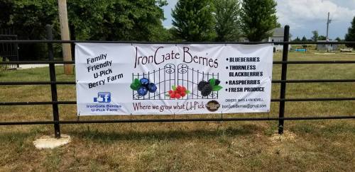 Banner for Iron Gate Berries U-Pick farm, promoting blueberries, blackberries, raspberries, and fresh produce.