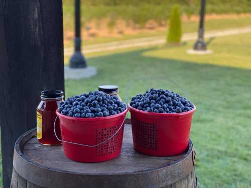 Two red baskets filled with fresh blueberries sit on a wooden barrel, alongside jars of honey, with a green field in the background.