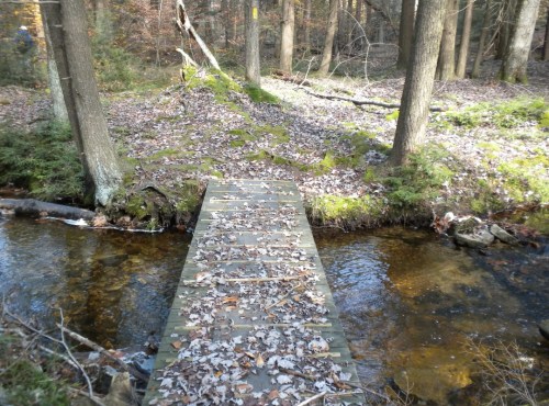 A wooden bridge covered in leaves spans a small stream in a forested area with trees and fallen foliage.