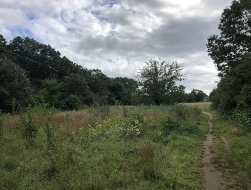 A grassy path winds through a lush, green landscape with trees under a cloudy sky.