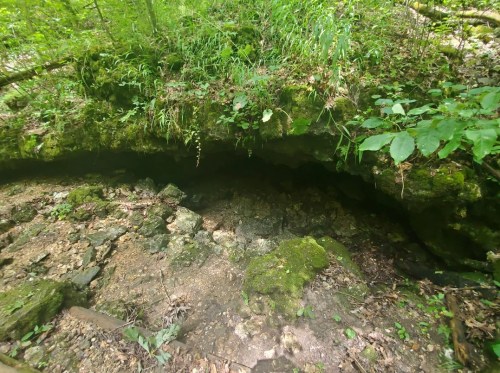 A rocky cave entrance covered in moss and surrounded by lush green vegetation in a forested area.