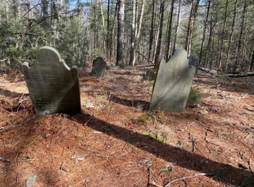 Two old gravestones in a wooded area, surrounded by pine needles and trees, casting long shadows.