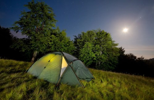 A tent illuminated by moonlight in a grassy field, surrounded by trees under a starry night sky.