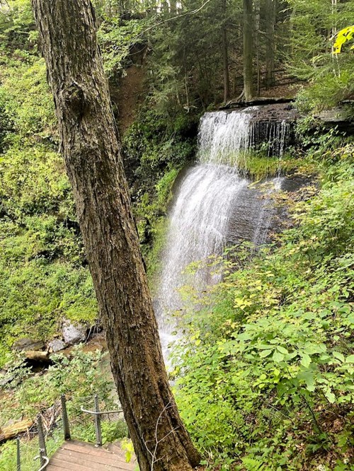A serene waterfall cascades down a rocky ledge, surrounded by lush green foliage and trees.