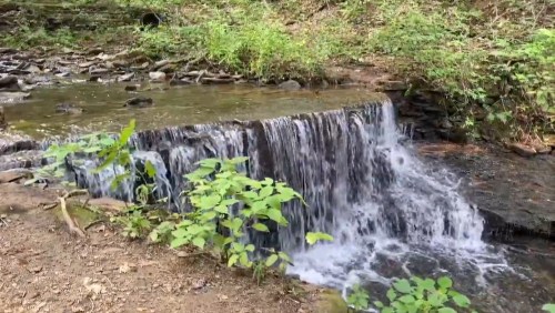 A small waterfall cascades over rocks into a serene stream, surrounded by lush greenery and forest.