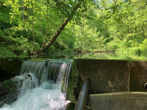 A serene scene of a small waterfall flowing into a lush green forest with trees and calm water.