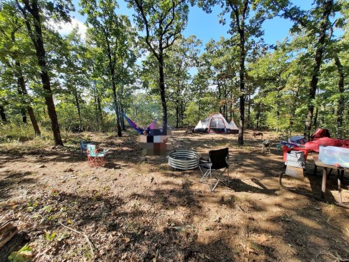 A campsite in a wooded area with tents, chairs, a hammock, and a fire pit surrounded by trees.