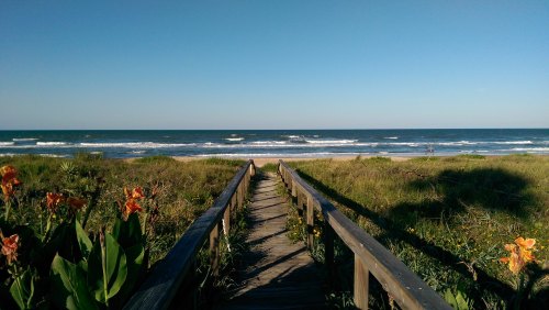 A wooden walkway leads to a sandy beach with gentle waves and colorful flowers on either side under a clear blue sky.