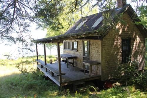 A rustic cabin with a wooden porch, surrounded by trees and grass, near a body of water.