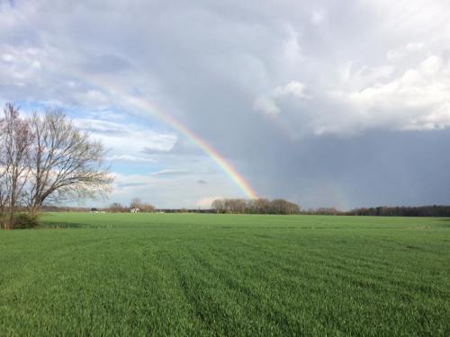 A vibrant rainbow arcs over a lush green field under a partly cloudy sky.