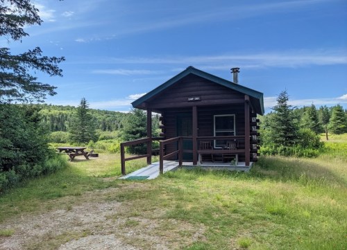 A rustic cabin surrounded by greenery, with a picnic table nearby and a clear blue sky overhead.
