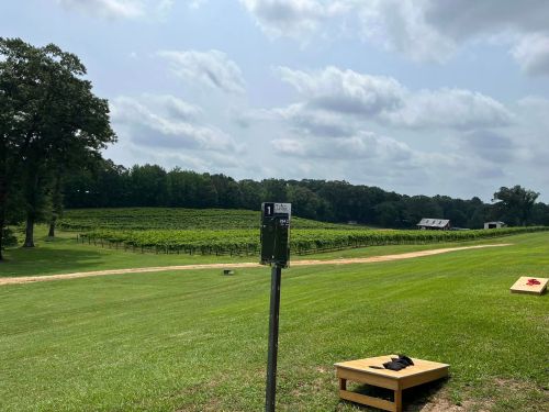 A scenic vineyard with green rows of grapevines under a cloudy sky, featuring a cornhole setup in the foreground.