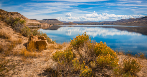 A serene lake surrounded by rocky hills and vibrant yellow flowers under a blue sky with fluffy clouds.