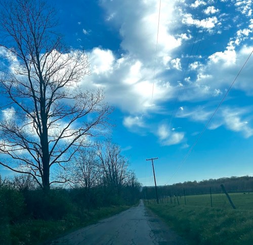 A rural road lined with trees under a bright blue sky with fluffy clouds. Power lines stretch along the roadside.
