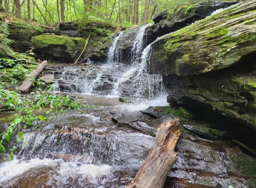 A serene waterfall cascades over moss-covered rocks in a lush green forest.