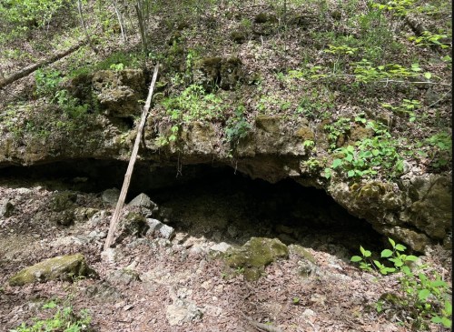 A rocky cave entrance surrounded by greenery and forest floor debris in a wooded area.