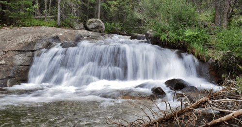 A serene waterfall cascades over rocks, surrounded by lush greenery and trees in a tranquil forest setting.