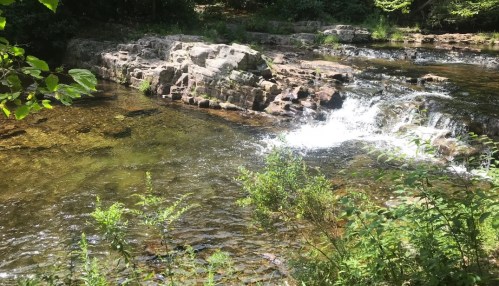 A serene river flows over rocks, surrounded by lush greenery and sunlight filtering through the trees.