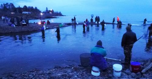 People fishing at dusk along a rocky shoreline, with buckets and nets, surrounded by water and trees in the background.