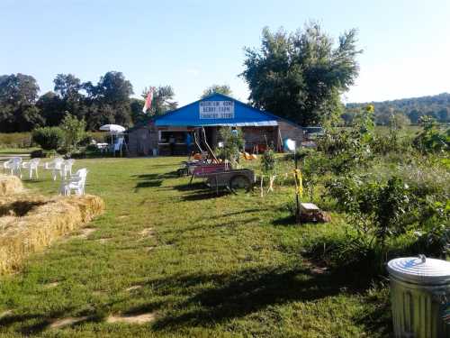 A rustic farm store with a blue roof, surrounded by green fields, hay bales, and white chairs under a clear blue sky.