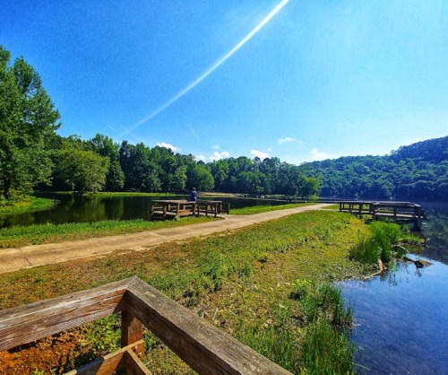 A serene lake scene with a clear blue sky, green trees, and wooden docks along the water's edge.