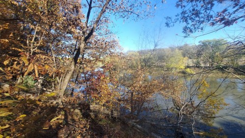 A serene river scene surrounded by trees with autumn leaves under a clear blue sky.