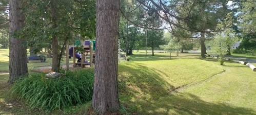 A sunny park scene featuring trees, a playground in the background, and a grassy area with a winding path.