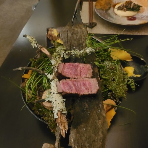 A beautifully plated dish featuring sliced steak on a bed of moss and greens, garnished with herbs and decorative elements.
