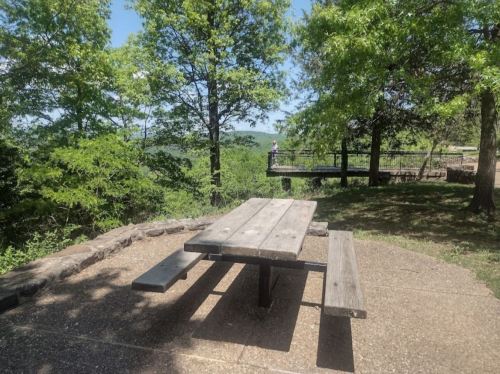 A wooden picnic table in a park surrounded by green trees and a scenic view in the background.