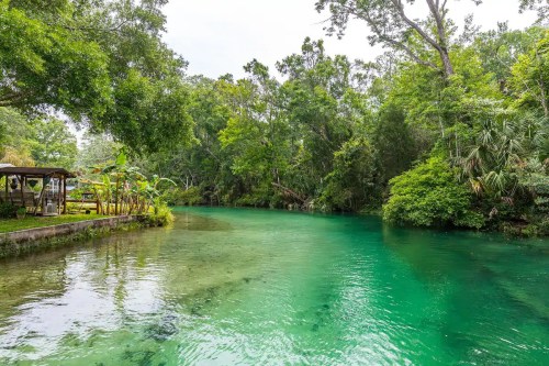 A serene river surrounded by lush greenery and trees, with clear turquoise water reflecting the natural landscape.