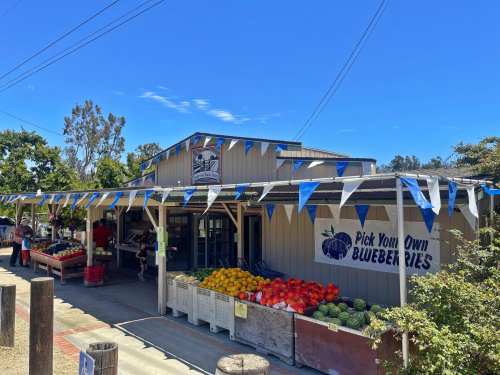 A farm stand with a "Pick Your Own Blueberries" sign, featuring colorful fruits and blue bunting under a clear sky.