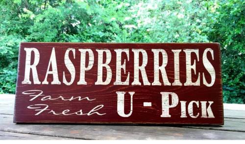 A rustic wooden sign reading "Raspberries U-Pick" with "Farm Fresh" in a smaller font, set against a green background.