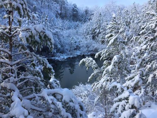 A serene winter landscape with snow-covered trees surrounding a calm, reflective body of water.