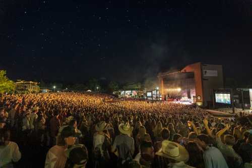 A large crowd enjoys a concert under a starry night sky, with a stage illuminated in the background.