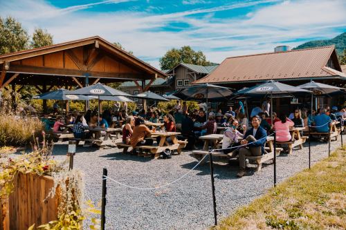 A lively outdoor dining area with people at picnic tables, surrounded by trees and umbrellas on a sunny day.