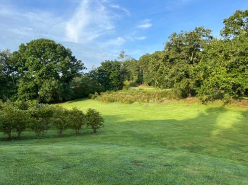 Lush green landscape with rolling hills, trees, and a clear blue sky.