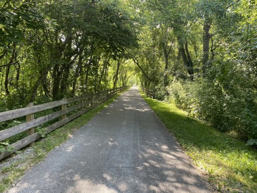 A serene, tree-lined path with a wooden fence on one side, surrounded by lush greenery.