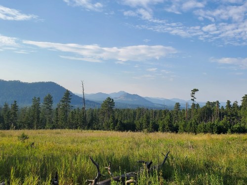 A scenic view of mountains in the distance, surrounded by lush green trees and a grassy field under a blue sky.
