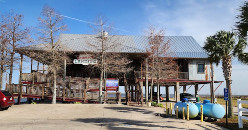 A wooden building with a metal roof, elevated on stilts, surrounded by trees and parked cars, near a body of water.
