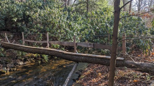 A wooden bridge spans a small stream, surrounded by lush greenery and trees in a peaceful forest setting.
