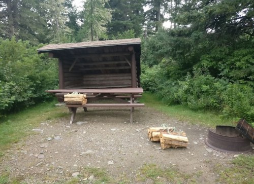 A rustic picnic shelter with a wooden table, surrounded by greenery, and firewood stacked nearby on a gravel area.