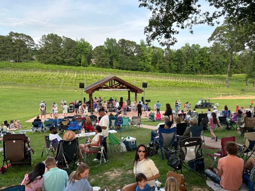 A lively outdoor event at a vineyard, with a crowd enjoying music and sitting on lawn chairs under a pavilion.
