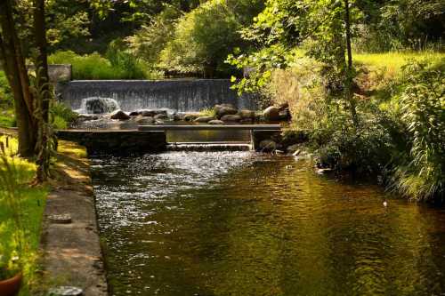 A serene stream flows past rocks and greenery, with a small waterfall in the background under dappled sunlight.