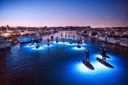 Paddleboarders illuminated by blue lights glide through a marina at dusk, surrounded by boats and a serene atmosphere.