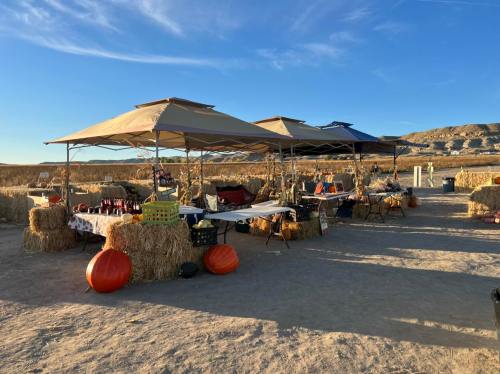 A market scene with tents, hay bales, and pumpkins under a clear blue sky.